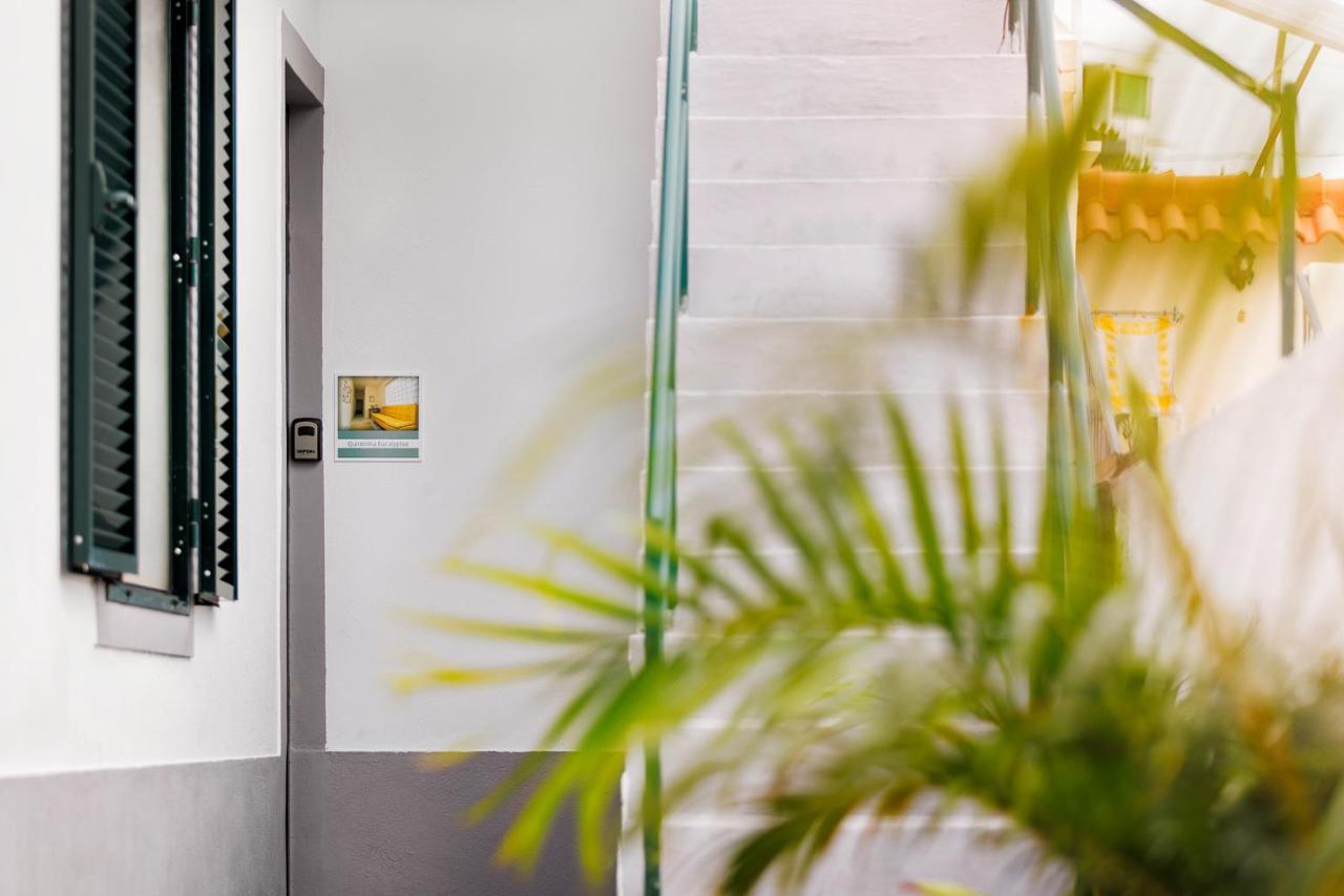 Quintinha Tropical - Panoramic Gateway To Madeira Hotel Funchal  Exterior foto
